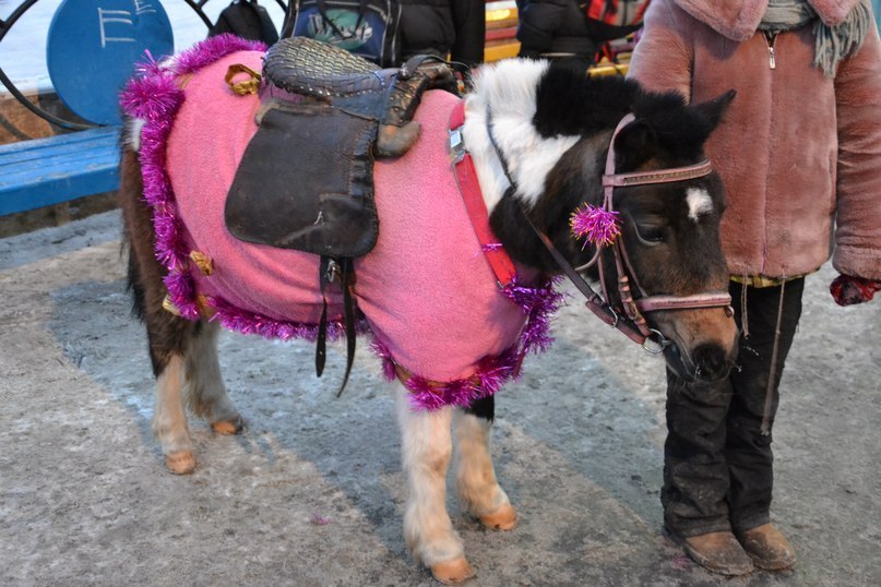 Ксения Миронова | Мурманск