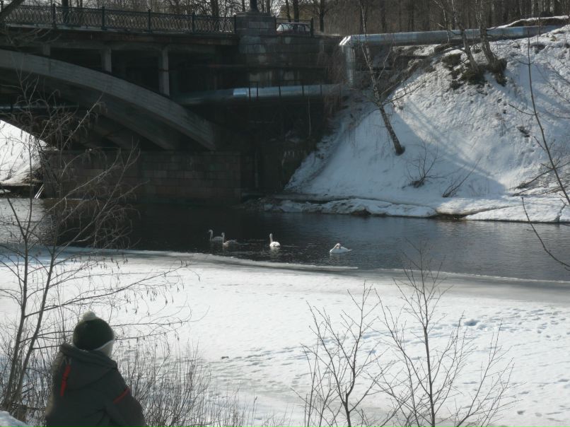 Марк Огурцов | Санкт-Петербург