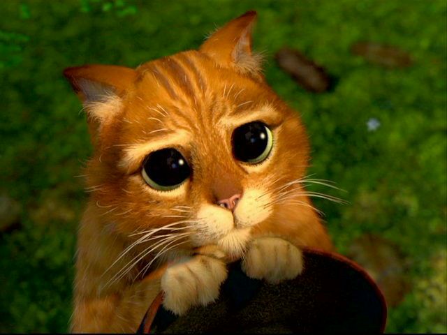 №78, Анна Сидоренко, 04.01.1989, Кропивницкий / Кировоград №78, Анна Сидоренко, 04.01.1989, Кропивницкий / Кировоград