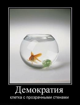 №57, Эльвин Исламов, Харьков №57, Эльвин Исламов, Харьков