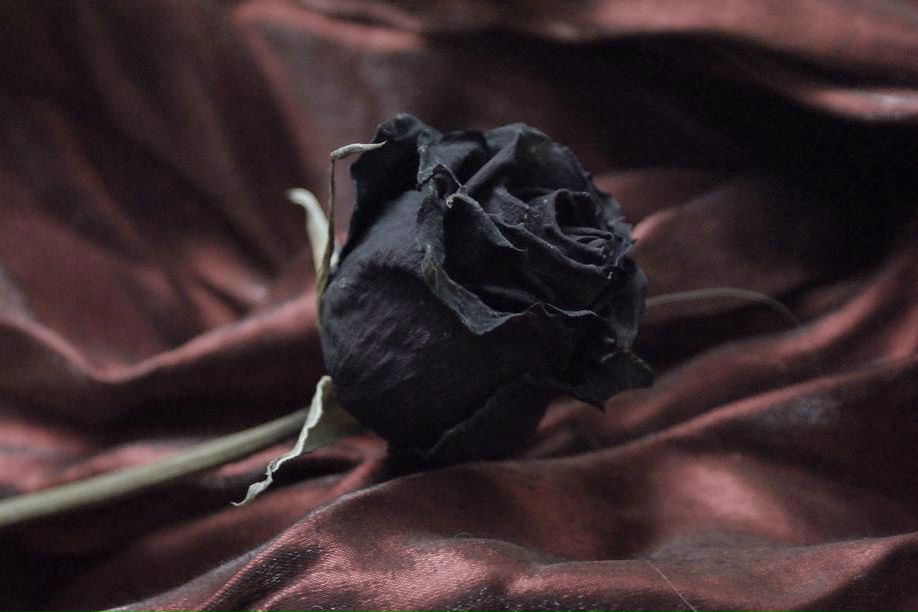 Мелисса Найтингейл | Екатеринбург