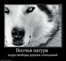 Фотография Анастасия Витко