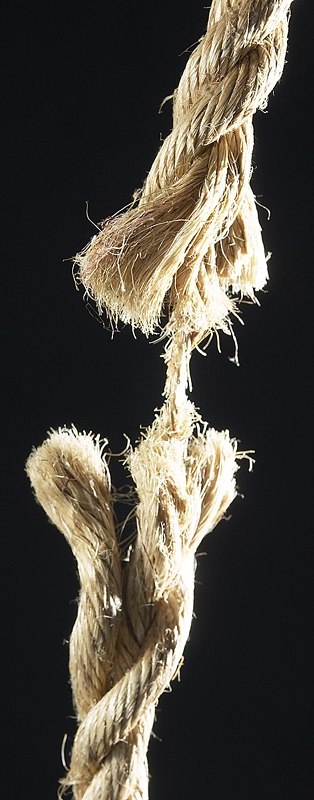 Вячеслав Козинский elenandar | Тюнгур