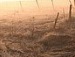 Вера Бузолина фотография #37
