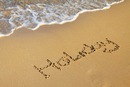 Фотография Стёпиной Ирины
