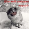 Аватар: Федор Сарбулатов