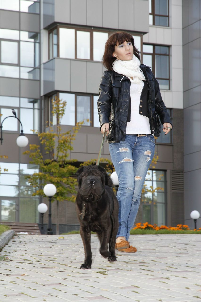 Алина Бессмертная | Киев