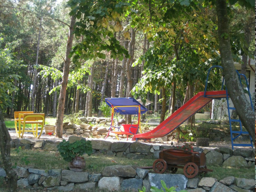 Ирина Титоренко | Домодедово