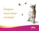 №1 Kill Killer : профиль, фото, статус - ВКонтакте