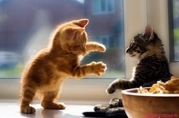 Анастасия Игоревна *ЗАЙКА* | Черноморск / Ильичевск