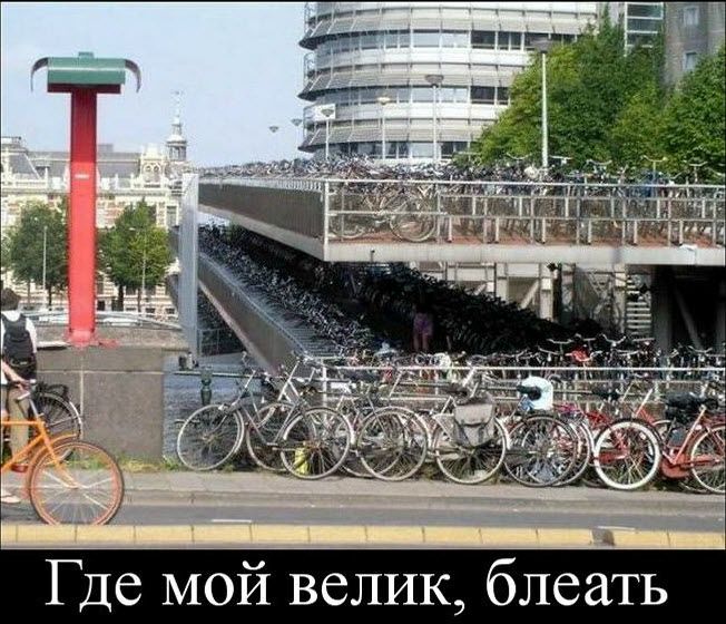 №17, Владимир Лафазан, 41 год №17, Владимир Лафазан, 41 год