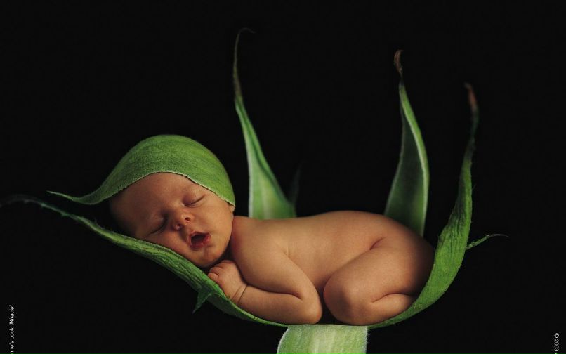 Елена Докучаева 