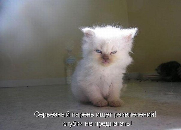 Коля Собур | Одесса