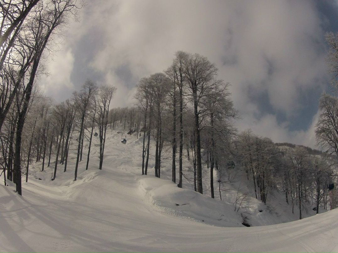 Сергей Чанов | Новосибирск