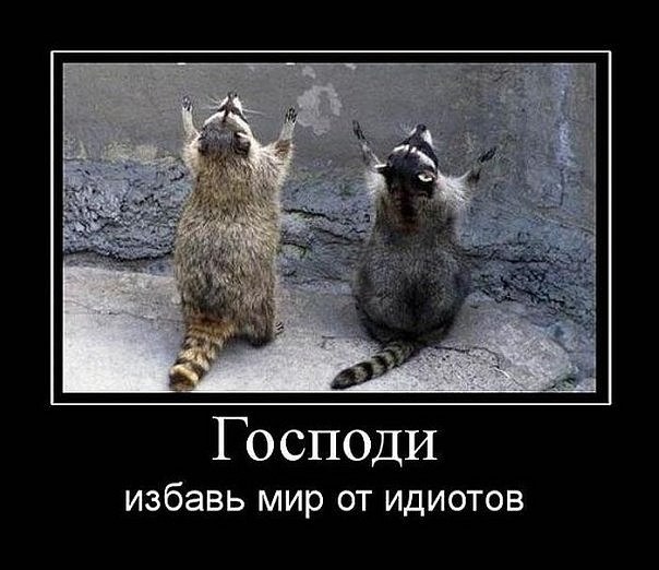 Элина Вагапова | Симферополь