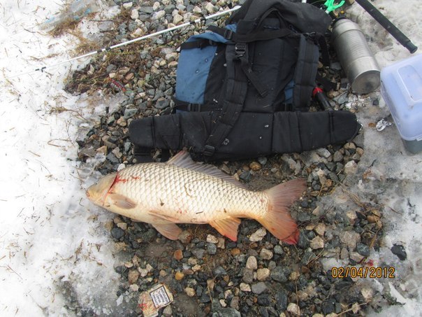 Сергей Стрекопытов ЛЕНИН | Самара