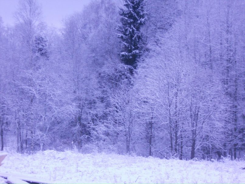 Людмила Воронина | Санкт-Петербург