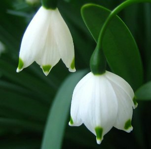 №139, Алеся Мосолова, 36 лет, Таруса №139, Алеся Мосолова, 36 лет, Таруса