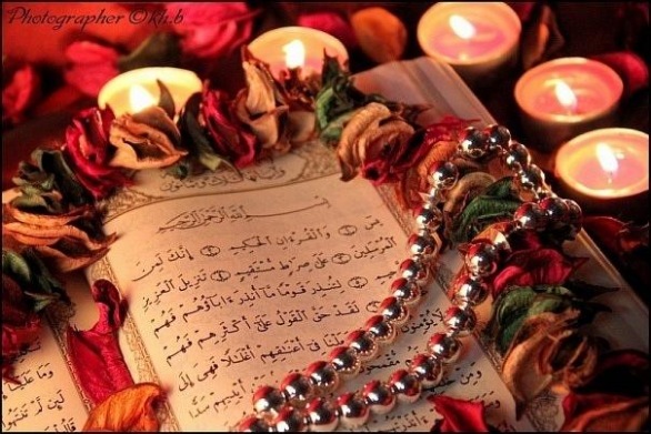 №94, Рания Исмагилова, Казань №94, Рания Исмагилова, Казань