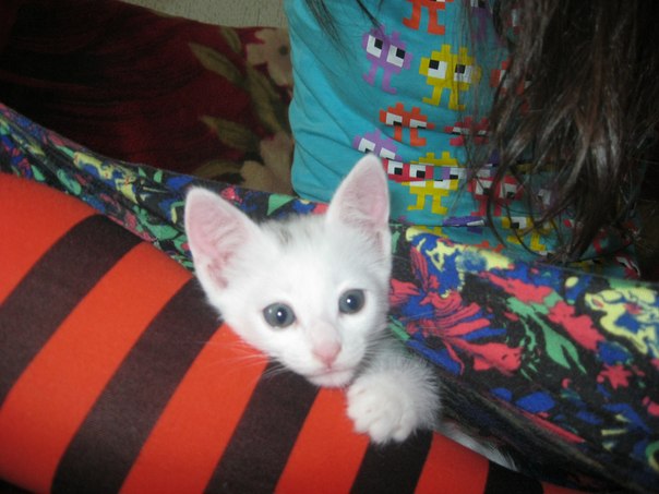 Анастасия Алексеевна фото профиля #1