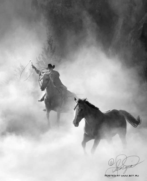 Алексей Сурков | Ульяновск