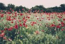 Фотография Перепеловой Кати