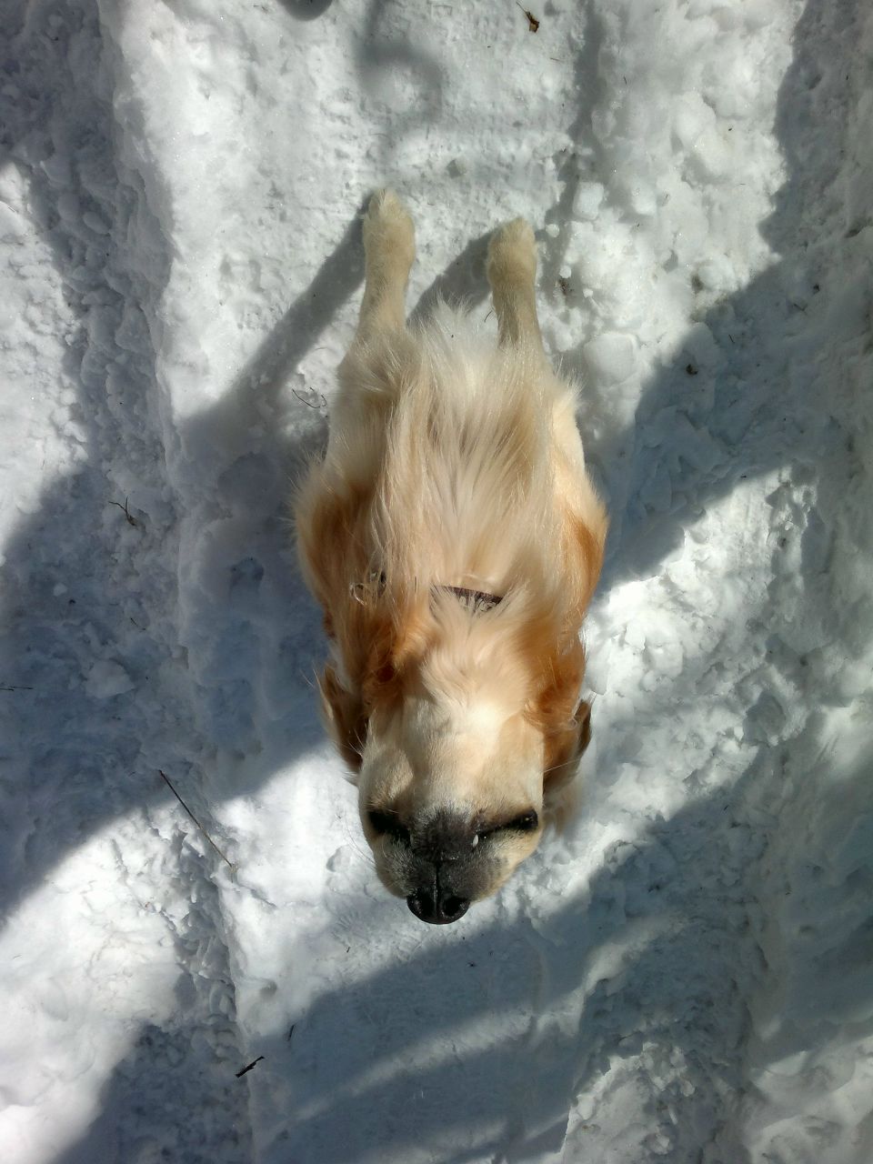 Дмитрий Черноляхов ())---DIMON--- | Москва