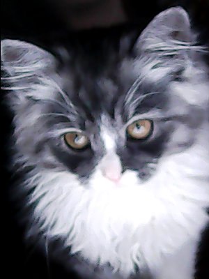 Эвген Редьква | Золочев