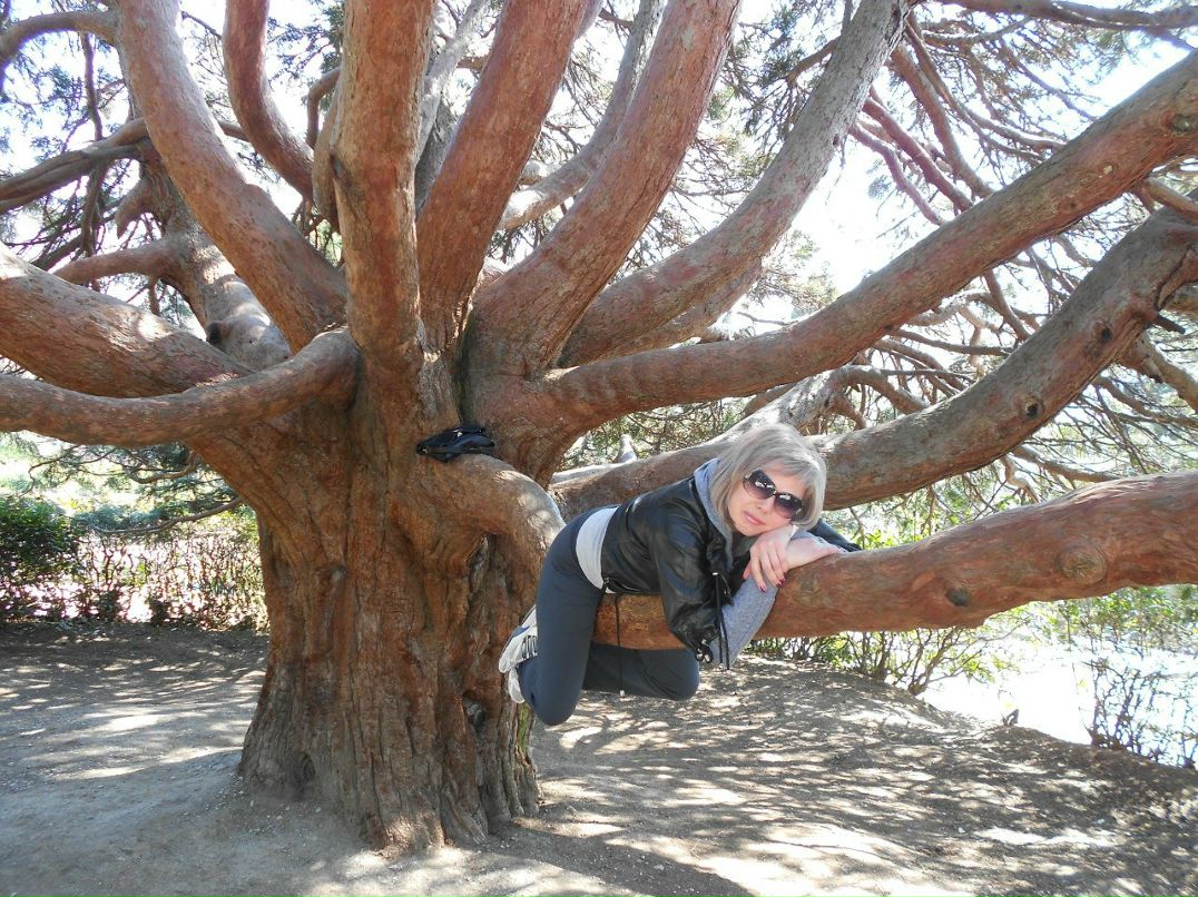 Алла Никитина | Кривой Рог