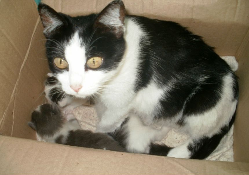 №77, Светлана Позднякова №77, Светлана Позднякова