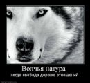 №13 Настя Евдокимова 19.03.1993: профиль, фото, статус - ВКонтакте №13 Настя Евдокимова 19.03.1993: профиль, фото, статус - ВКонтакте