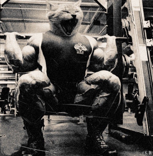 Сергей Сидоров | Москва