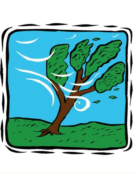 №3, Владимир Шидловский, 42 года, Минск №3, Владимир Шидловский, 42 года, Минск