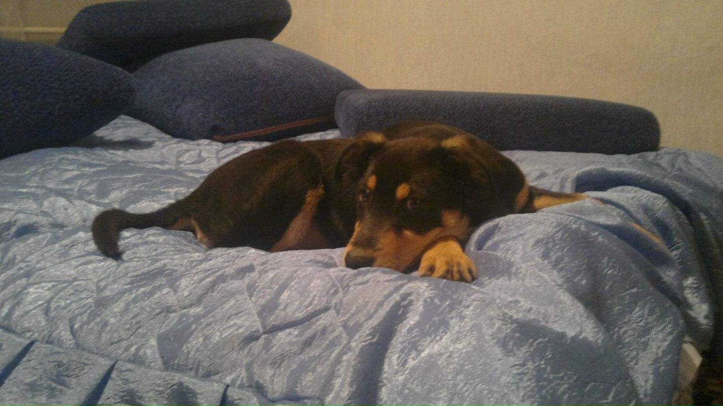 Олег Янковский ОлЕжКа:) | Киев