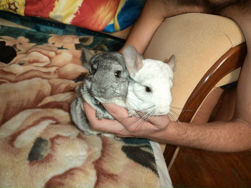 Ирина Сергеева | Пушкино