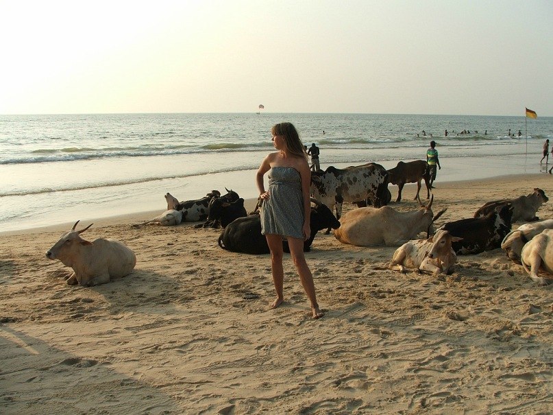 Александр Бармотин | Москва