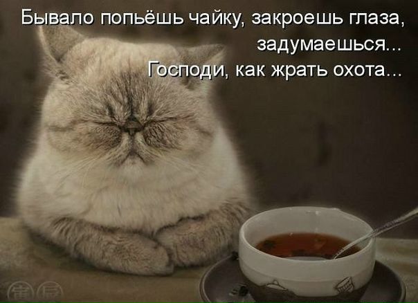 №9, Катя Нужная, Луганск №9, Катя Нужная, Луганск