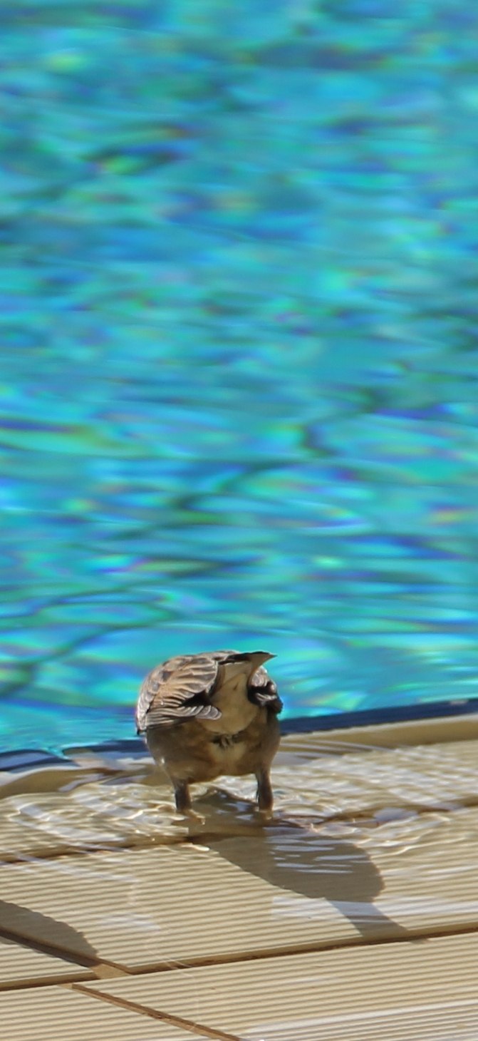 Николай Николаевич | Москва