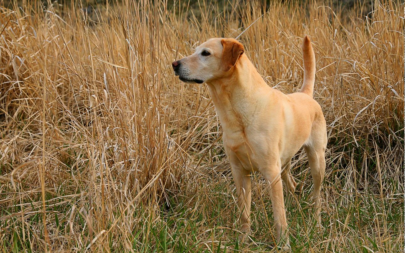 Павел Георгиевич | 