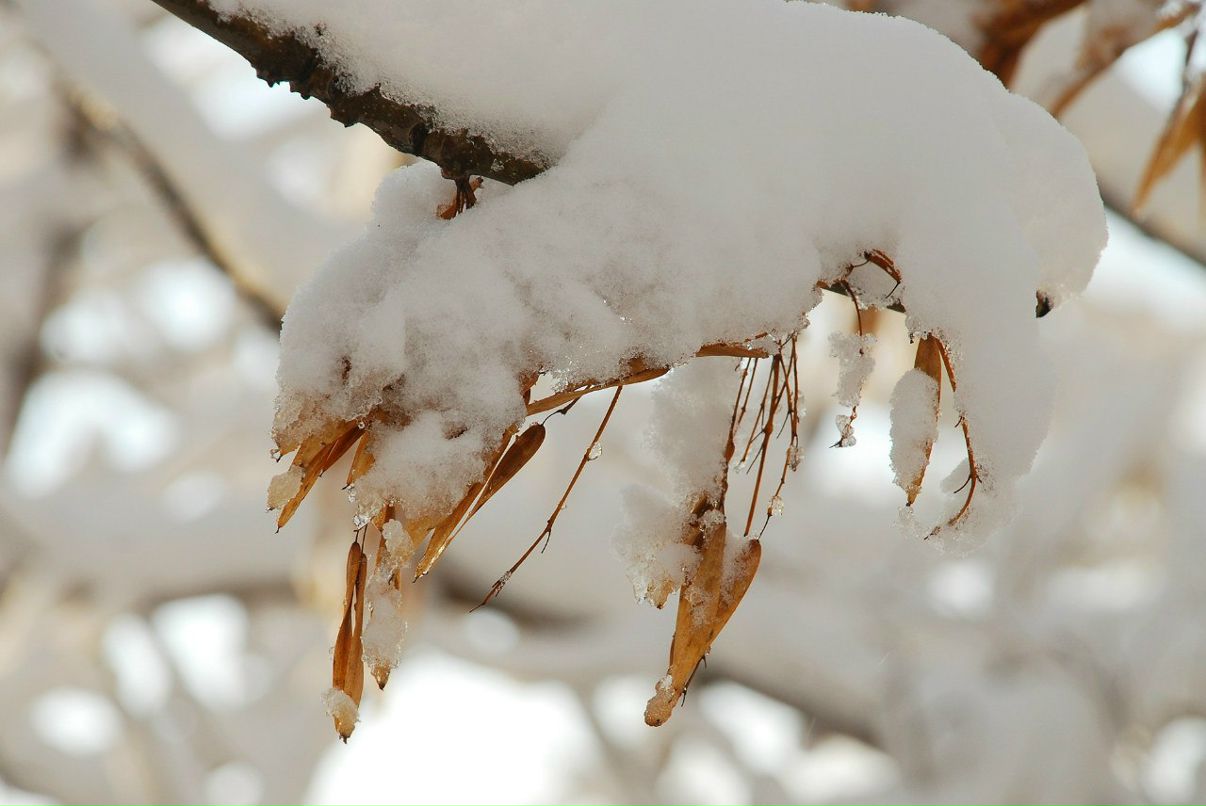 Елена Гражданинова | Нижний Новгород