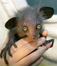 №31 Арина Филякова 29.12.1991: профиль, фото, статус - ВКонтакте