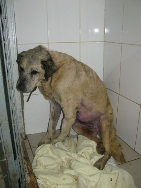 №120, Инна Валешковская, 39 лет, Одесса №120, Инна Валешковская, 39 лет, Одесса