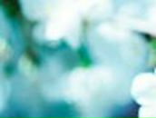 Надежда Клименко | Санкт-Петербург