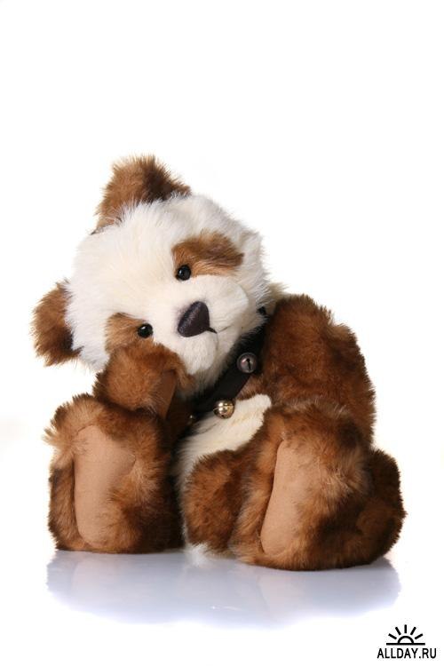 Ксения Трофимова | Заречный