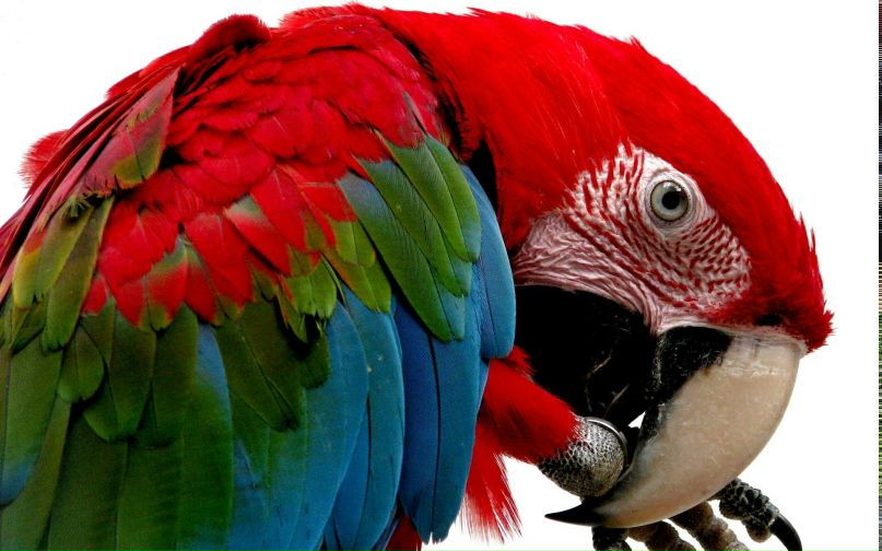 Александр Смысл | Москва