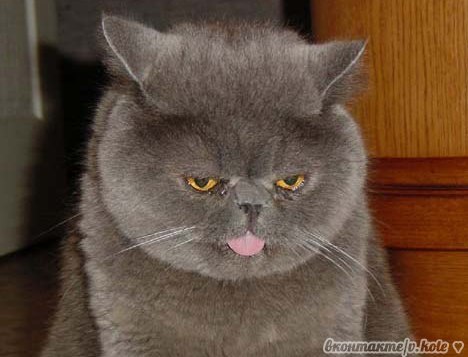 Гена Вахненко | Полтава