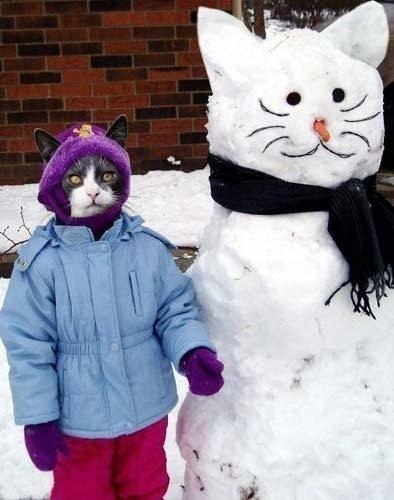 Никита Никита космонафт | 