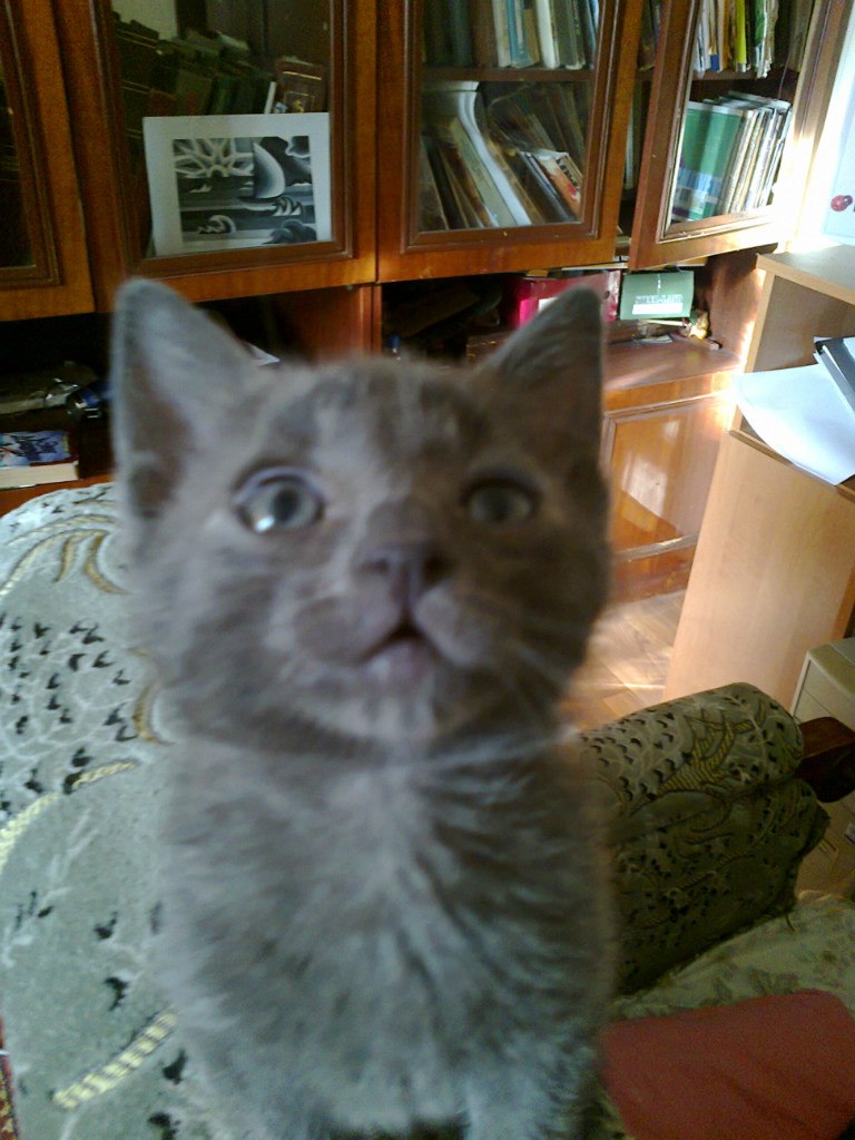 Елена Яшина | Энергодар