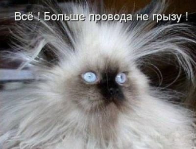 Рома Борисов §LUCKY§ | Вологда