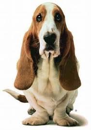 Евгений Орлов | Минск